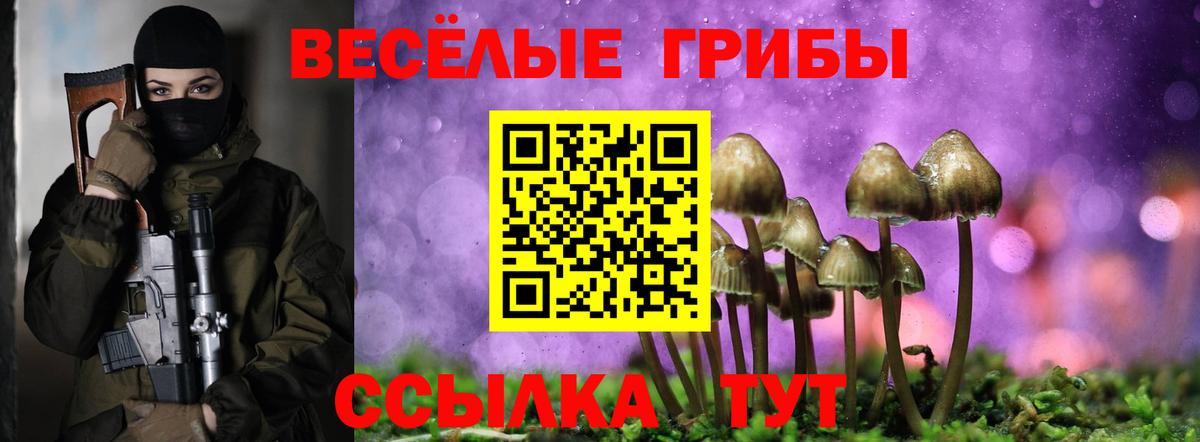 Галлюциногенные грибы GOLDEN TEACHER  Вход с VPN  купить наркоту  Ялуторовск 