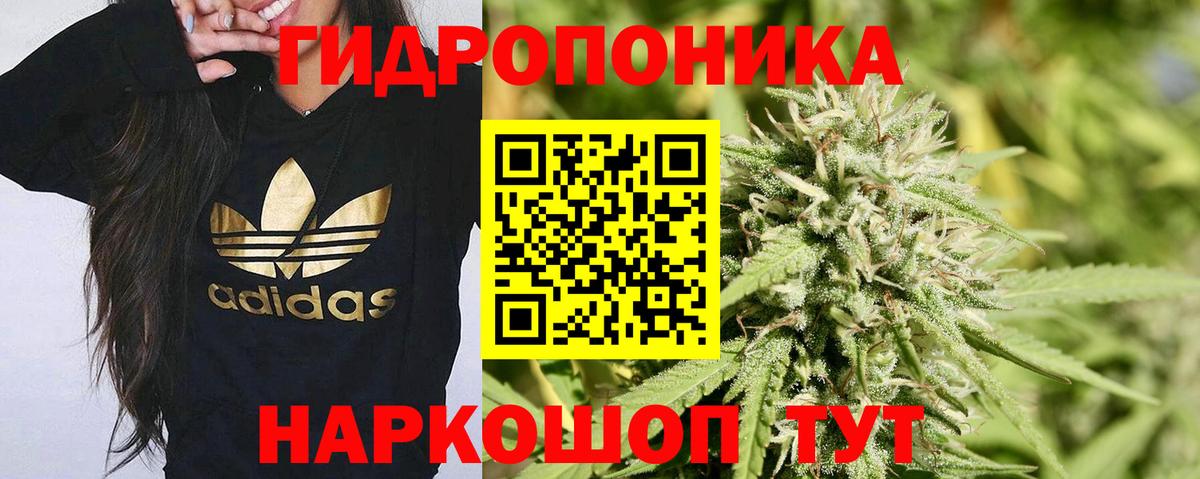 Конопля OG Kush Ялуторовск